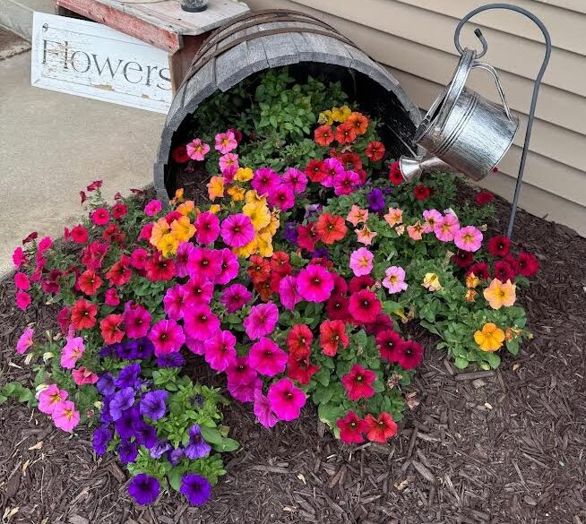 Petunia in Primary and Secondary colors