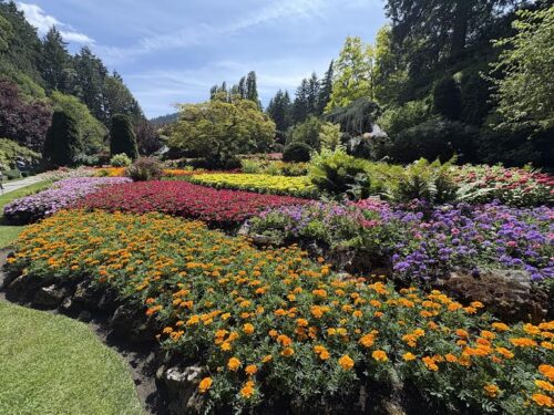 Big interlocking beds of Bold colors