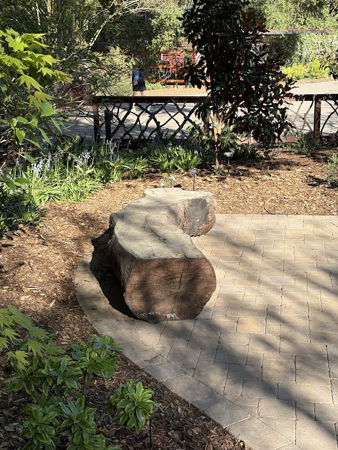 Neutral paving and log bench for color blog