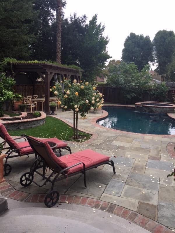 Pool with Neutral Color paving for Color Blog