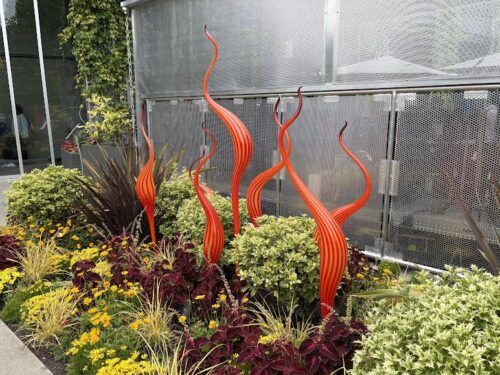 Warm and hot colors with Chihuly sculptures