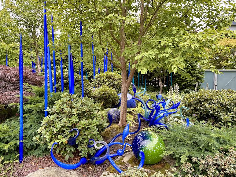 Cobalt Blue Chihuly sculptures in the Garden at the Glass Museum Seattle