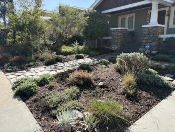 drought tolerant garden example