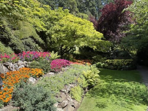 Green foliage frames color beds