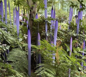 Incredible lavender sculptures in the Chihuly Garden Seattle