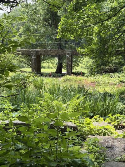 Gorgeous old stone bridge with marsh scene