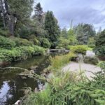 Long Pond with dense foliage and bridge at Kubota Garden