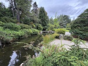 Long Pond with dense foliage and bridge at Kubota Garden