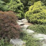 Stepping Stone Stair in Kubota Garden