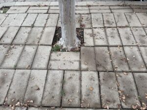 pavers in a park strip