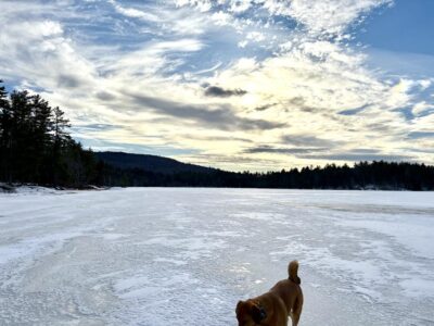 Clouds over the Pond