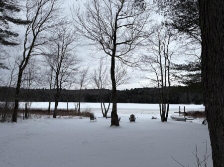 The Pond in Winter