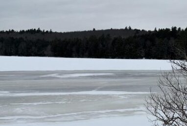 Icey Pond
