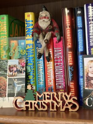 Christmas Santa with Books