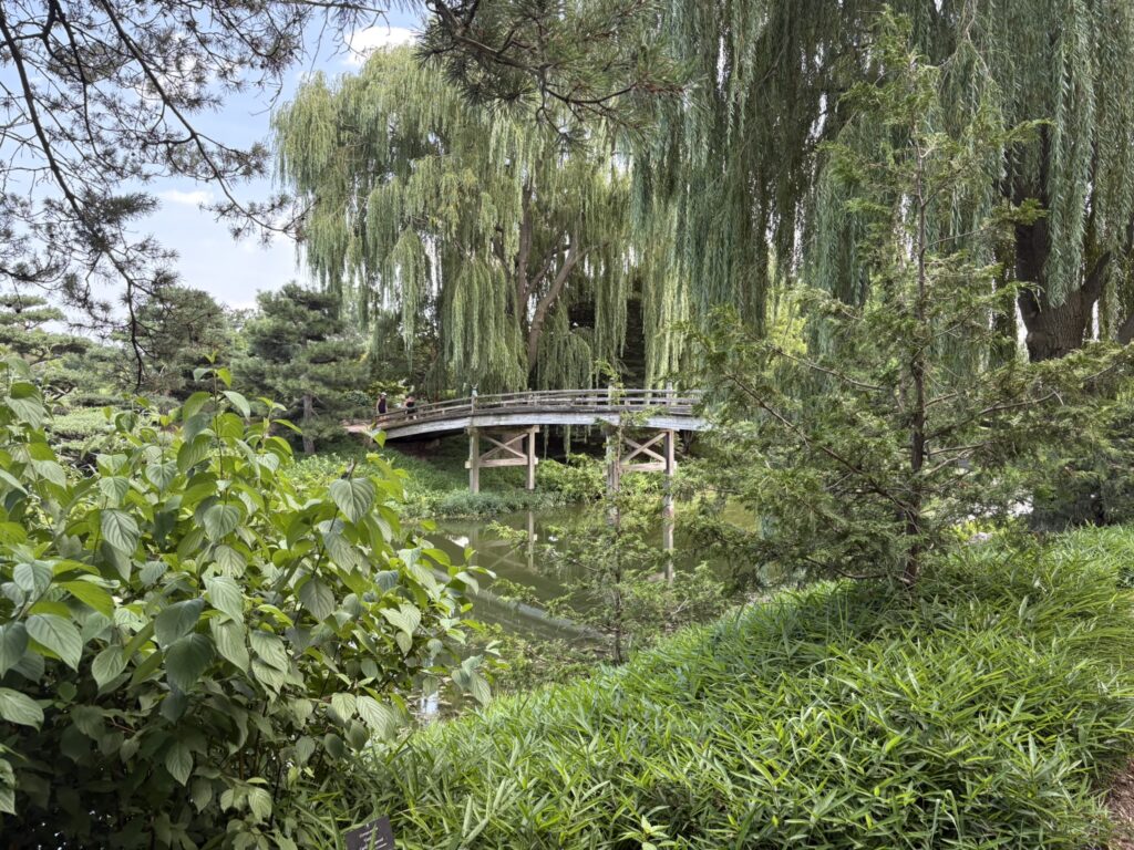 Weeping 
Willow at Chicago Botanical Gardens
