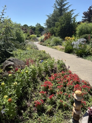 colorful borders at the Oregon Garden- main path