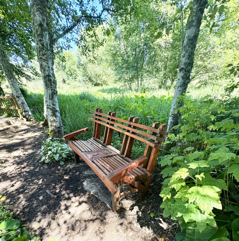 bench in the marsh woodland at the Oregon Garden