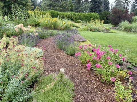Duncan Garden Perennial Beds Spokane