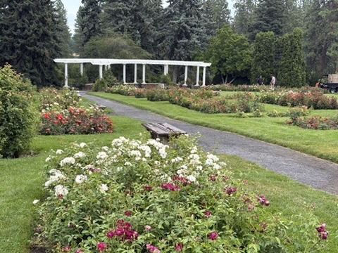 Morito Park Rose Garden Spokane