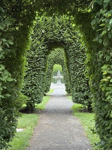 Arches made from Hedges