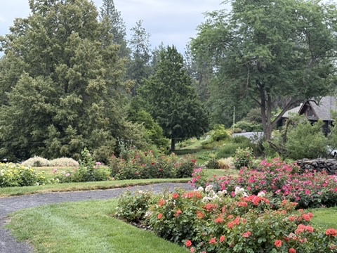 Marito Park and Duncan Gardens