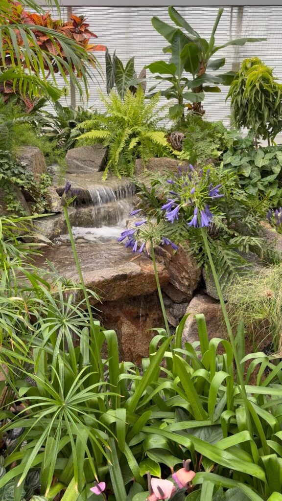 Waterfalls and tropicals