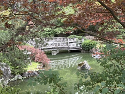 bridge and colorful trees in the Japanese garden in Spokane