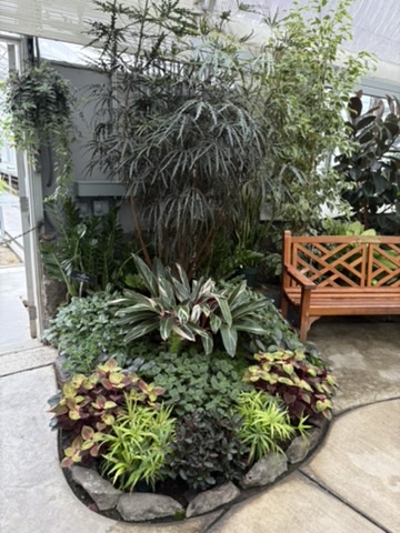 Carver Conservatory interior Spokane