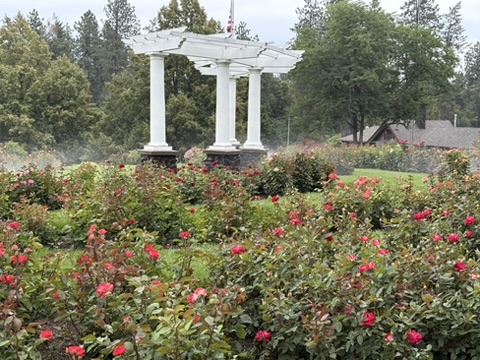 Morito Park Rose Garden Spokane