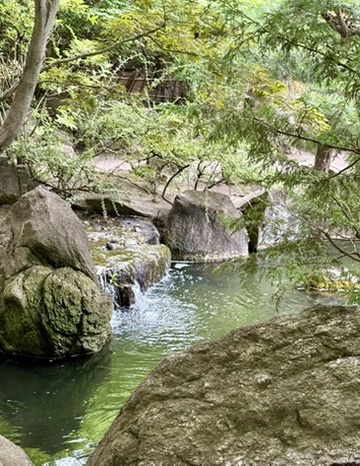 waterfall in Japanese Garden in Spokane