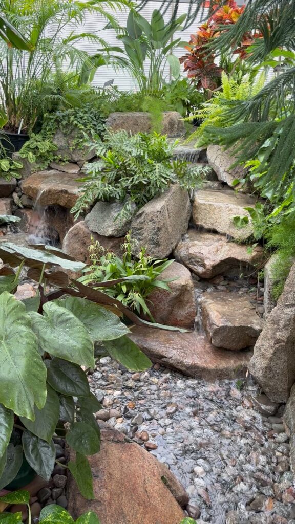 Waterfalls and tropicals in the Conservatory