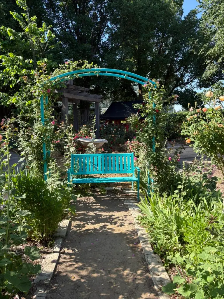 garden bench in Amarillo Botanic Garden