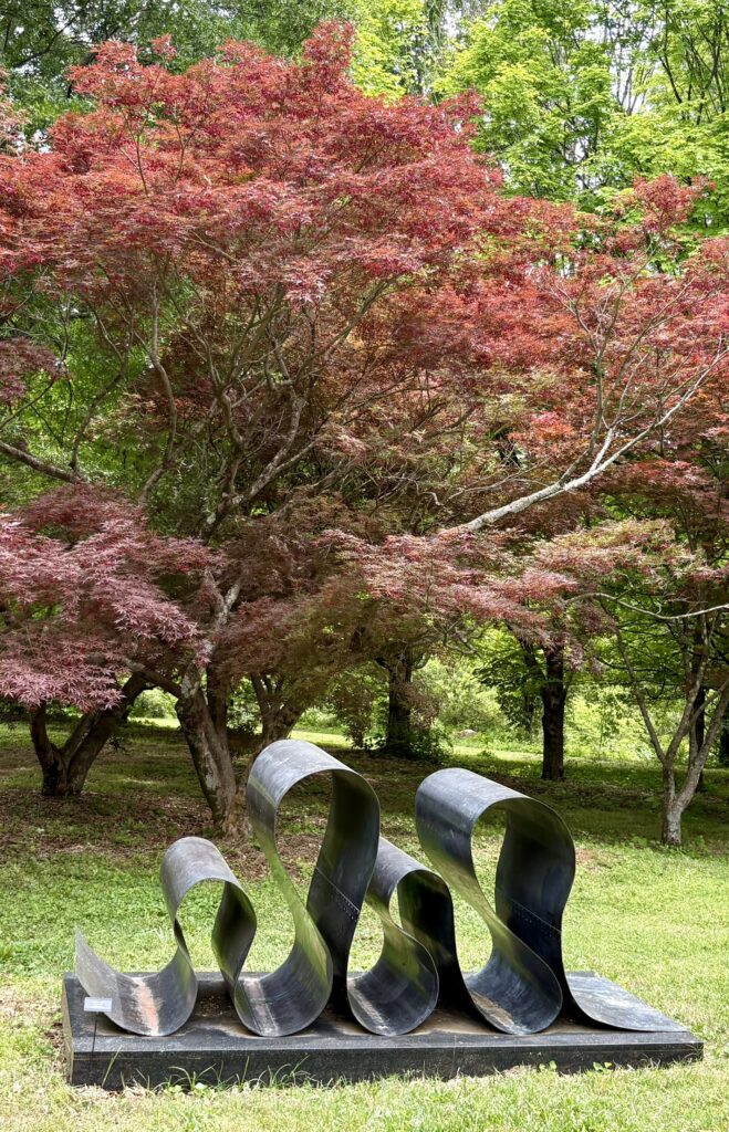 Japanese Maple with Sculpture Travel Time