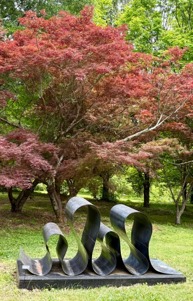 Japanese Maple with Sculpture Travel Time