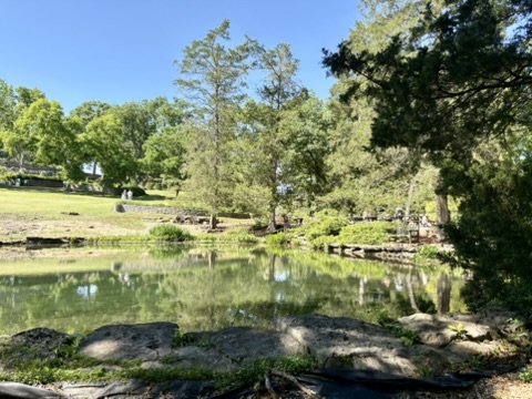 Pond at Cheekwood. Travel time