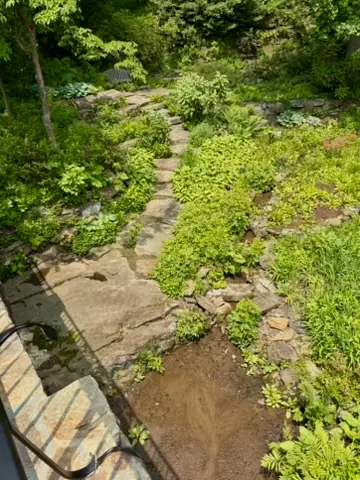 View down from Bridge at Winterthur