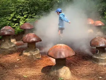 Steaming Mushrooms at Winterthur