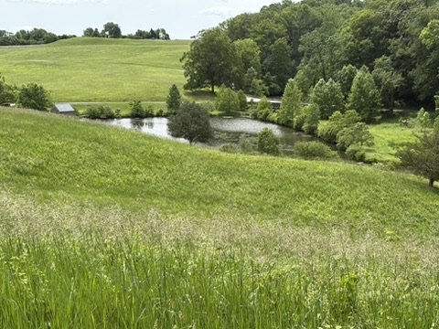 Lake and hills at Winterthur
