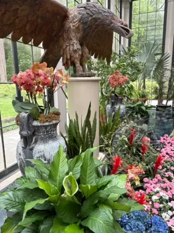 Greenhouse room in Mansion at Winterthur