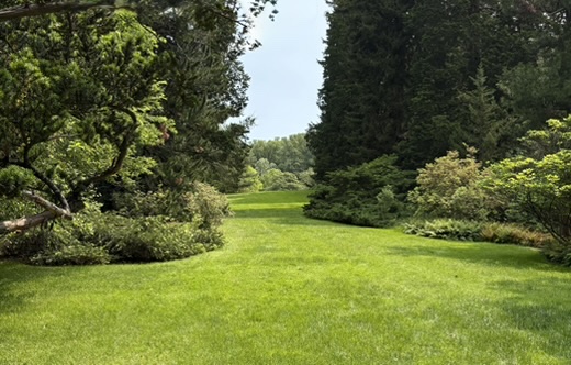 View of Park at Winterthur