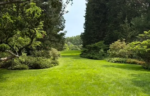View of Park at Winterthur