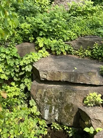 Stones and plants at Winterthur