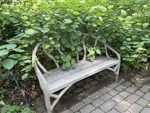 Pretty Curved back bench at Winterthur