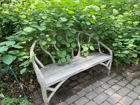 Pretty Curved back bench at Winterthur