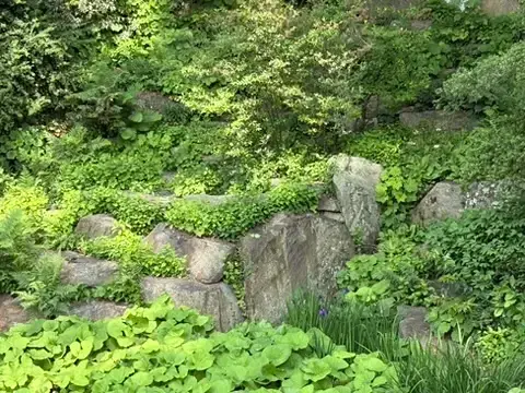 Rockery at Winterthur