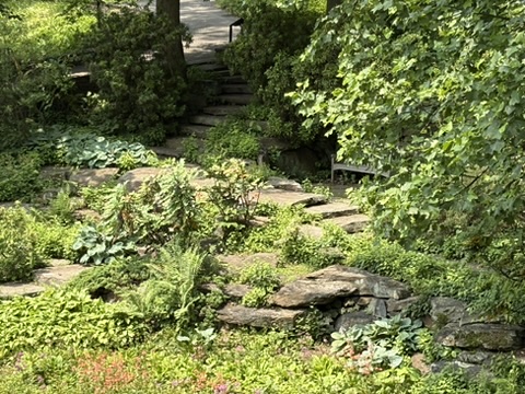 Path in Quarry Garden at Winterthur