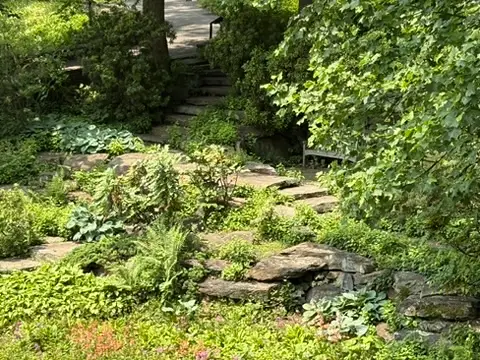 Path in Quarry Garden at Winterthur