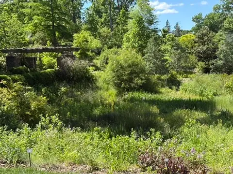 Meadow Garden at Cheekwood