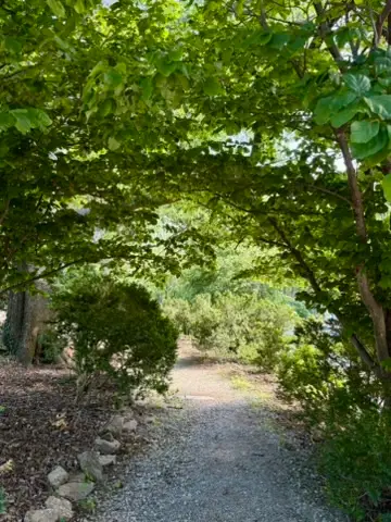 Old garden path and canopy at Cheekwood
