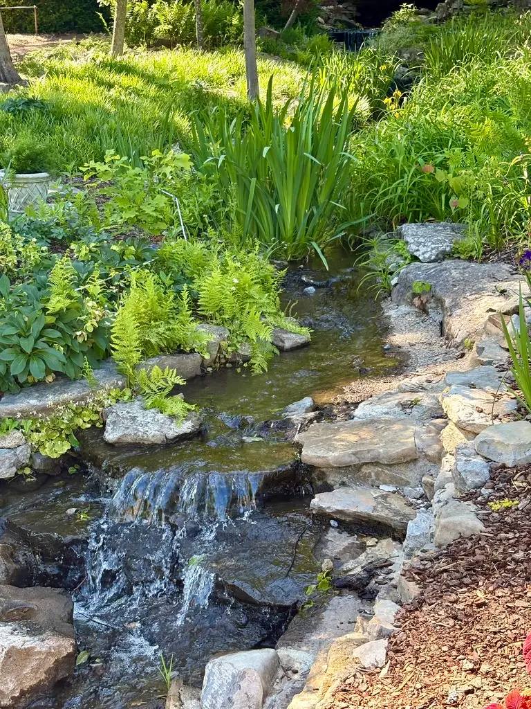 Stream at Cheekwood
